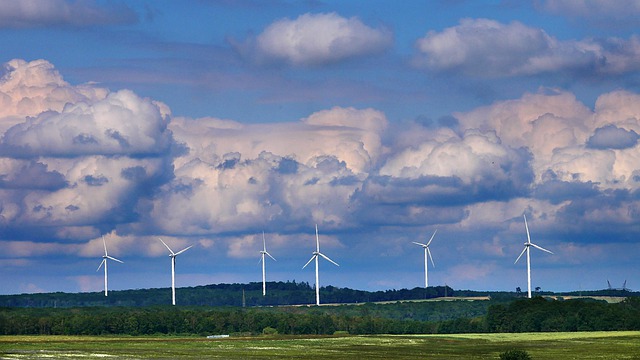 Coraz ważniejsza rola źródeł odnawialnych?